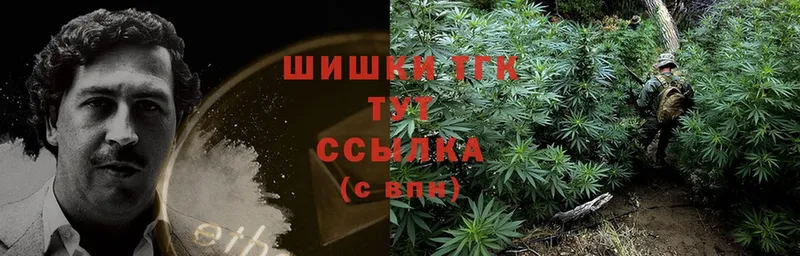 Канабис OG Kush  наркотики  Белорецк 